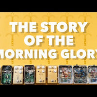 MORNING GLORY V4